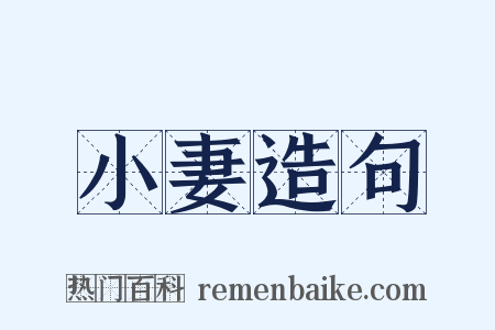 小妻造句是什么意思的图片
